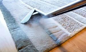 Eco-Friendly Cleaning: How Professional Carpet Steam Cleaning Reshapes Hygiene